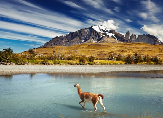 While traveling to Chile, please keep in mind some routine vaccines such as Hepatitis A, Hepatitis B, etc.